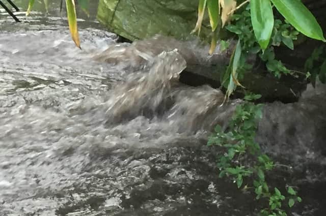 Raw sewage was dumped into Harborough's waterways 479 times in the space of just one year.