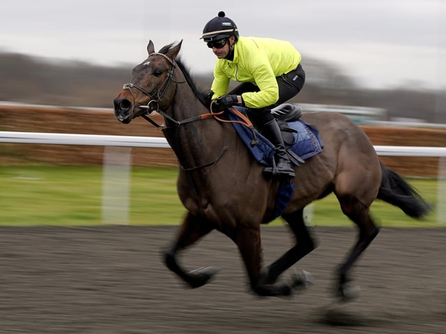 Unquestionably the most exciting horse to look forward to at this year's festival is CONSTITUTION HILL, the odds-on favourite for Tuesday's Unibet Champion Hurdle  (3.30). Nicky Henderson's 6yo was a sensational winner of the opening novice hurdle race here last year and is already being talked about as potentially one of the greatest horses in National Hunt history. He is unbeaten, and many believe he is unbeatable.