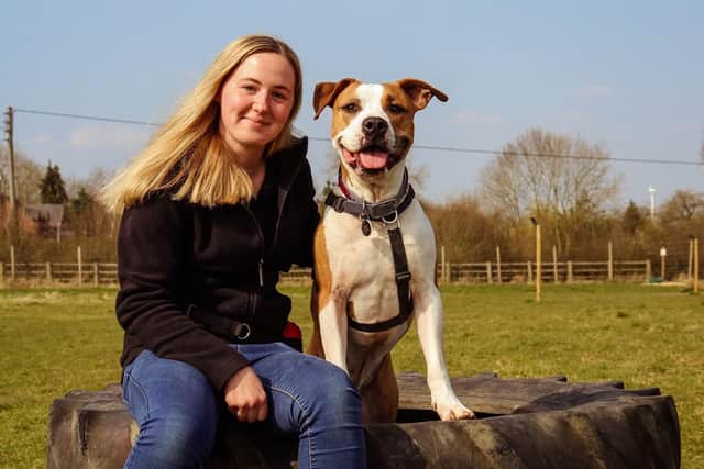 Jo Cramp has won ‘Best Dog Behaviour and Training Business – Leicestershire’ in the LuxLife Pet Products and Services awards.