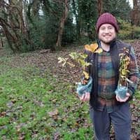 Free trees and hedges offered to landowners and farmers to encourage more planting across Leicestershire
