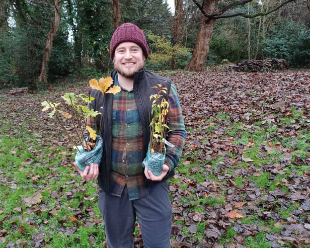 Apply now for your free tree packs.