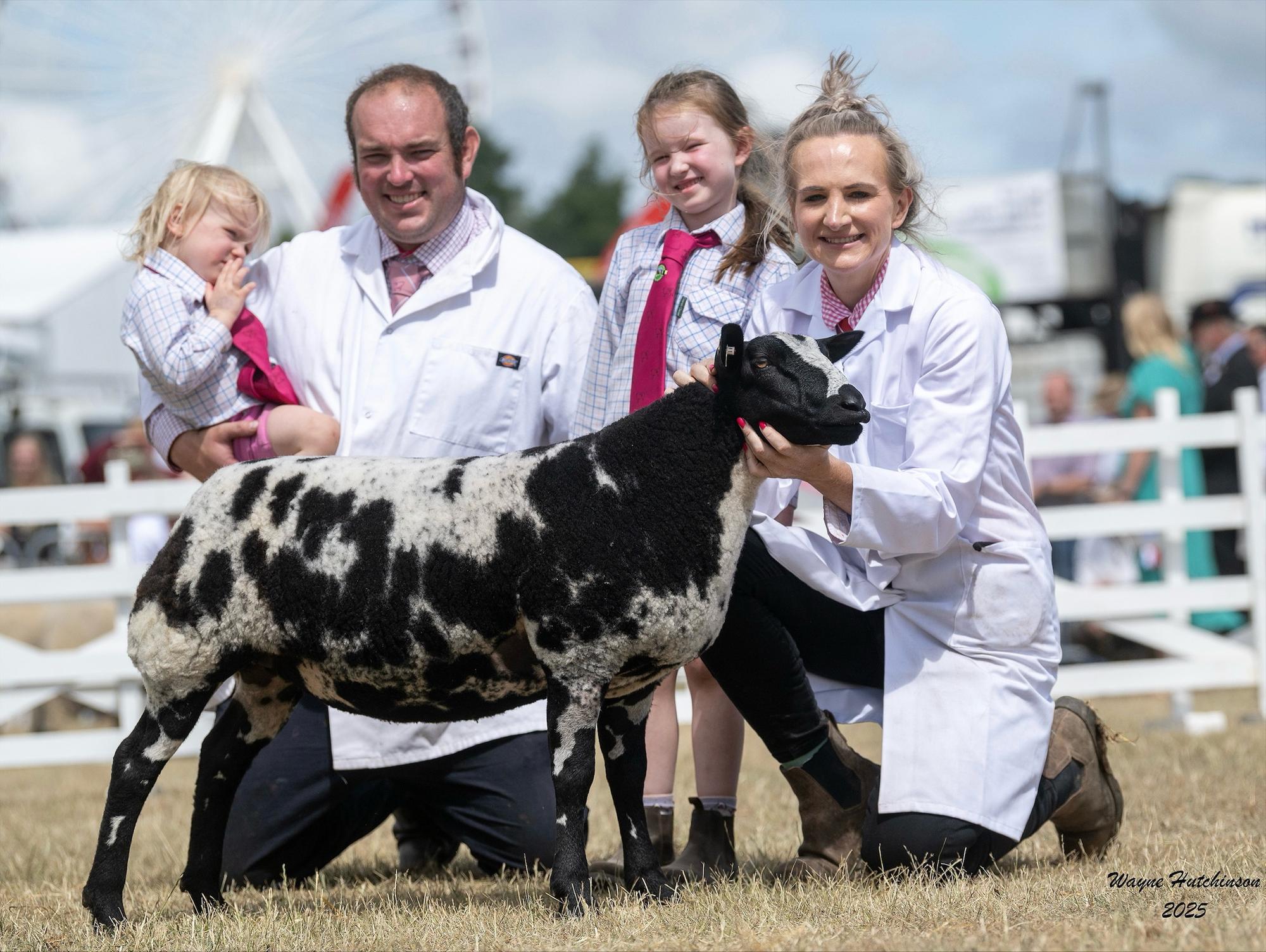 Sheep farming family near Harborough celebrate award success at the ...