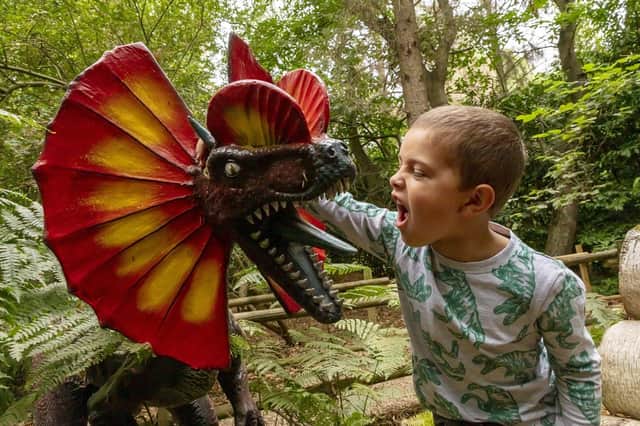 Get up close and personal with a raptor (photo: Chris Ball)