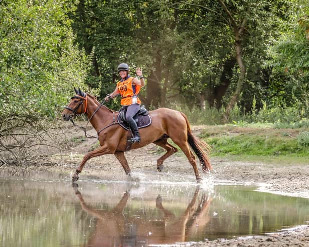 Beth Kerslake rides Semper Invicta on the way to becoming Reserve Novice Foundation Champion. (Photo credit: IndiePics Photography)