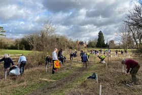 Tree planting this Saturday in Lubenham. It's fun for all ages and makes space for wildlife.