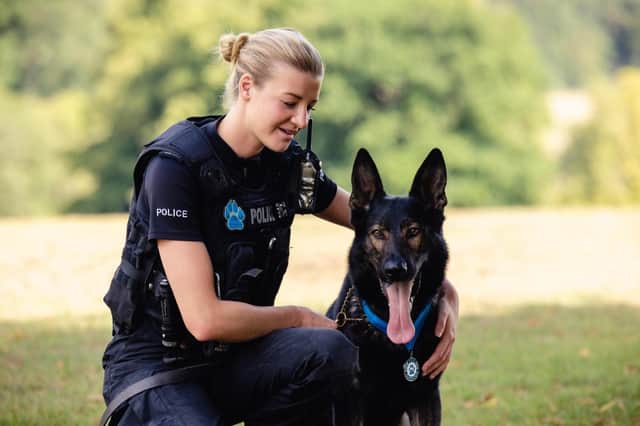 Police dog Astro with his handler PC Feavyour.