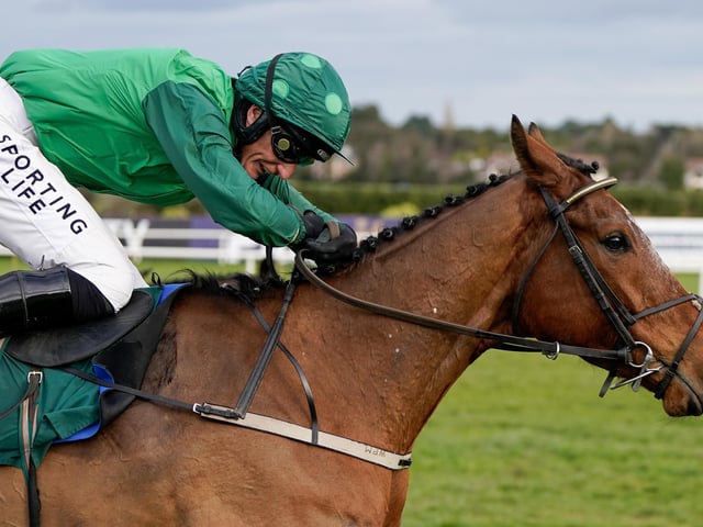 And here is the big rival to Jonbon in that eagerly-anticipated Sporting Life Arkle Novices' Chase on Tuesday (2.10), the Willie Mullins-trained EL FABIOLO. A superb-looking horse, the 6yo has taken to fences like a duck to water, showing frightening speed and jumping boldly. He tackled the best 2m novice chase seen this term at Leopardstown last month, and bolted up by ten lengths.