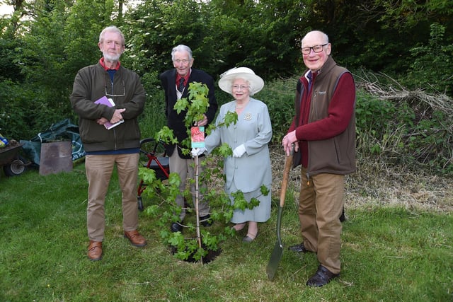 Tree planting...from left, Rev Jack Wixon, John Holton and Dilys Leeder and Dave Carter during the Platinum Jubilee celebrations.
