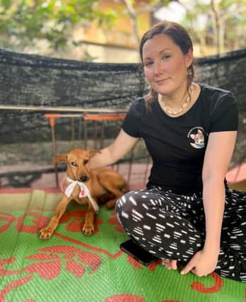 Laura with a street dog recovering after surgery