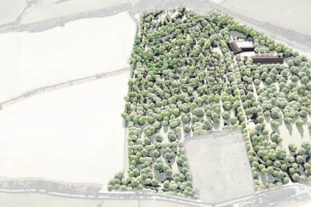 An aerial view of the site