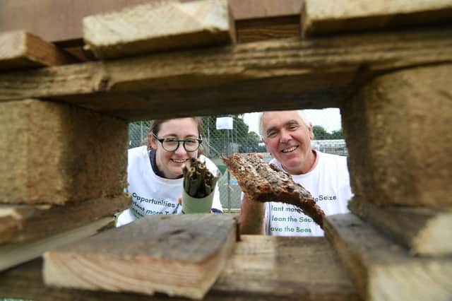 Jess Taylor and Mark Baverstock make a insect house during the Big Green Picnic at Welland Park on Sunday.