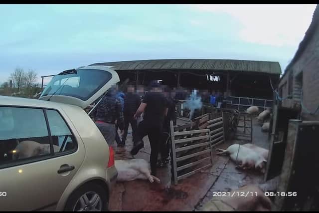 Police and Trading Standards arrive at the farm in Leire