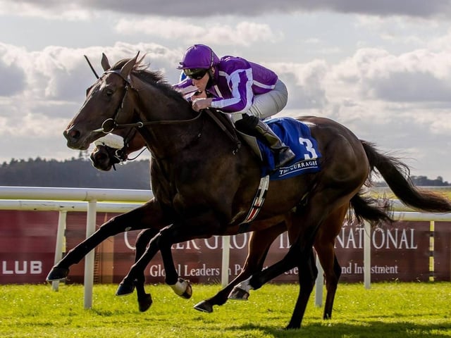 It's not often you find a one-time favourite for the Derby on the Flat running at the Cheltenham Festival. But that's the story with HIGH DEFINITION, who is a fascinating contender for the first race of the week, the 2m Supreme Novices' Hurdle on Tuesday (1.30). The regally-bred 5yo was fancied for the 2021 classic when trained by Aidan O'Brien and finished third in a Dante Stakes at York. The son of Galileo is now with O'Brien's son, Joseph.