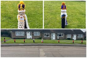 These beautifully knitted designs have appeared in Wilbarston