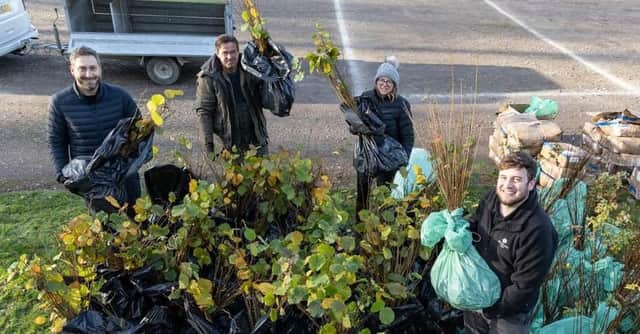 Thousands of trees have been given away
