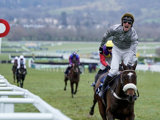 Since the days of celebrated handler Francois Doumen, The Fellow, who won the 1994 Gold Cup, and Baracouda, who landed back-to-back Stayers' Hurdle prizes in 2002 and 2003, French-trained winners at the Cheltenham Festival have become as rare as tomatoes in Tesco. But GOLD TWEET might just upset the applecart in Thursday's Paddy Power Stayers' Hurdle (3.30) after winning impressively in a trial at the track in January.