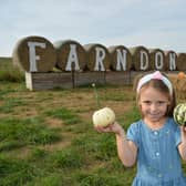 Lily Cossor five on the hunt for pumkins at Farndon Fields farm shop.