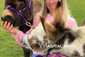 Helen Tomlin has set up an exciting new venture helping people in the Market Harborough area with her beloved miniature donkeys.