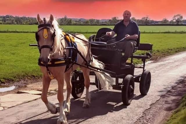 James was driving his horse-drawn cart from Market Harborough to Great Oxendon on the A508 yesterday afternoon (Thursday)