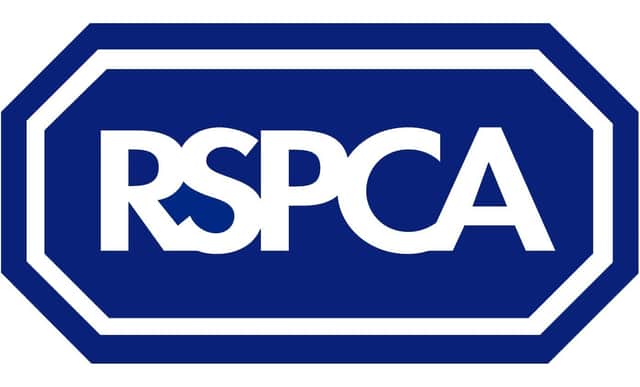 The RSPCA is appealing for information.