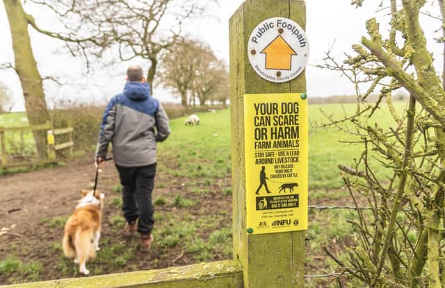 Dog owners are reminded to keep their pets on the lead around livestock