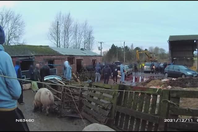 Police and Trading Standards arrive at the farm in Leire
