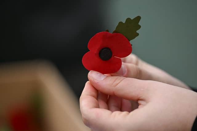 A woman holds a red poppy during a wreath laying ceremony. Photo by ARMEND NIMANI/AFP via Getty Images