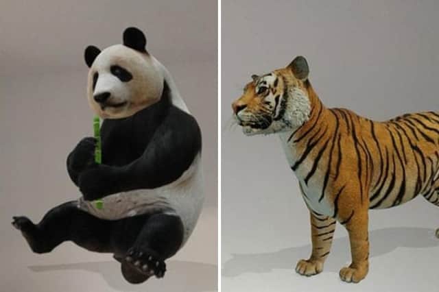 Pandas and tigers can be seen in 3D using Google
