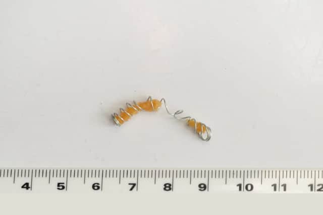 The metal coil found in the bag of wheat crunchies. PICTURE: ANDREW CARPENTER NNL-180821-090723005