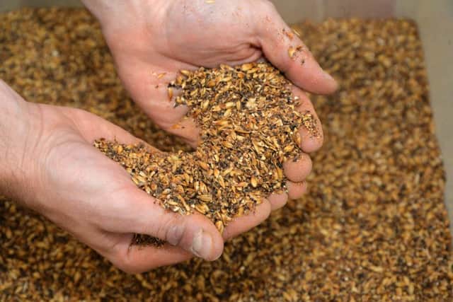 Malt used in the brewing process.
PICTURE: ANDREW CARPENTER