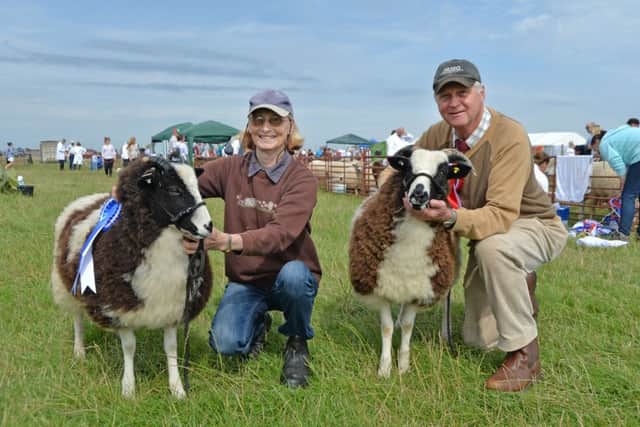 Ruth and Robin Kernohan gained first and second prize with their Jacob Gelscoe flock.
PICTURE: ANDREW CARPENTER NNL-160829-102458005