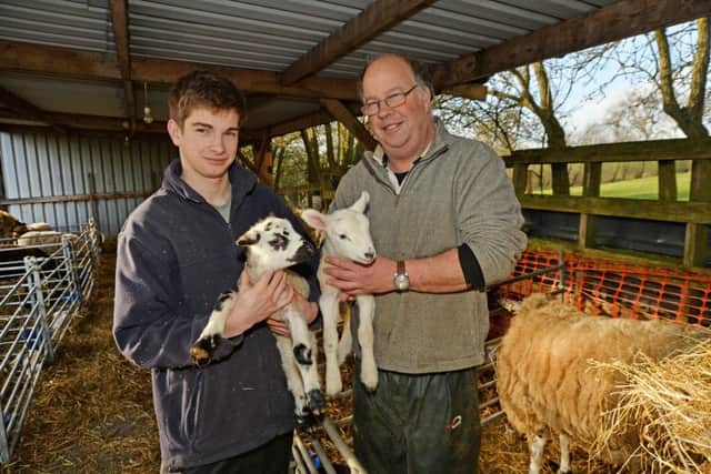 Helping hands...Jack and Craig Langton with lambs they helped deliver.
PICTURE: ANDREW CARPENTER